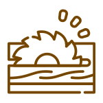 Passione per il lavoro